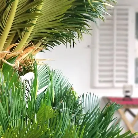 Rosemary Apartment-Cosy And Peaceful Spot With Private Parking * Dubrovnik